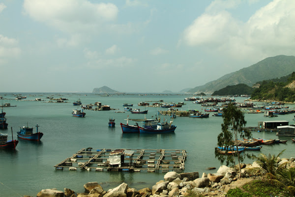vung-ro-2-4222-1397712217.jpg