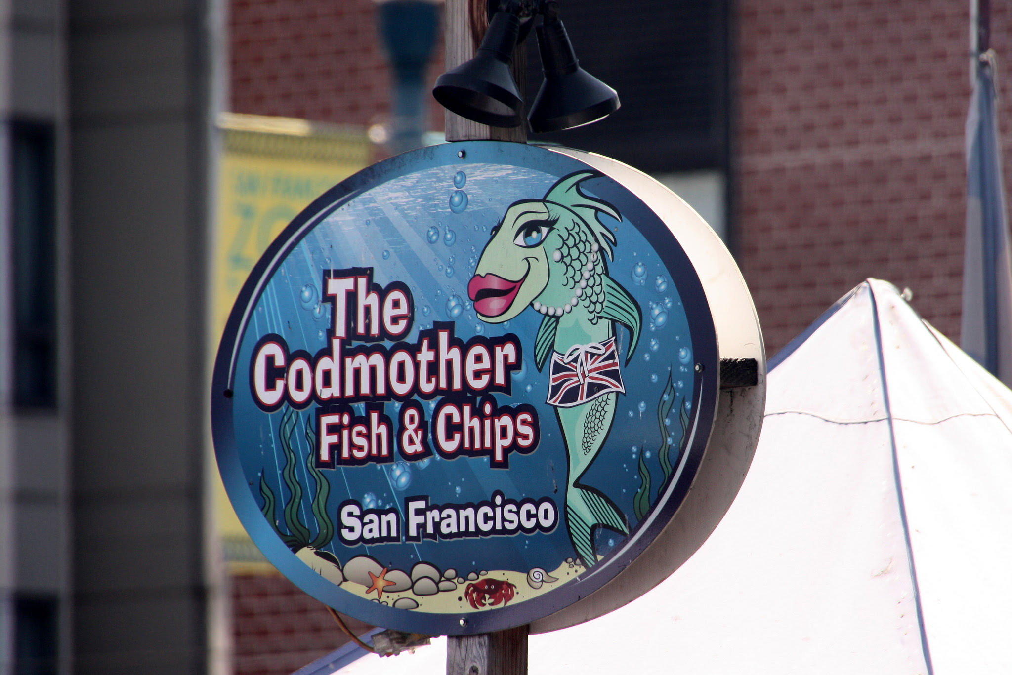 5 Must Try Fisherman's Wharf Restaurants I Avital Tours