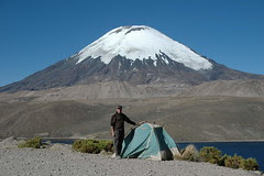 Parc de Lauca, `Chungara