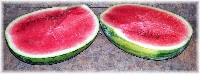 Watermelon
