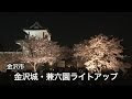 [新しいコレクション] 兼六園 桜 ライトアップ 346510-��六園 桜 ライトアップ