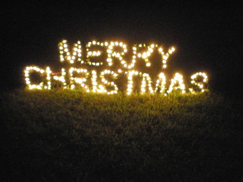 OUTDOOR YARD DISPLAY