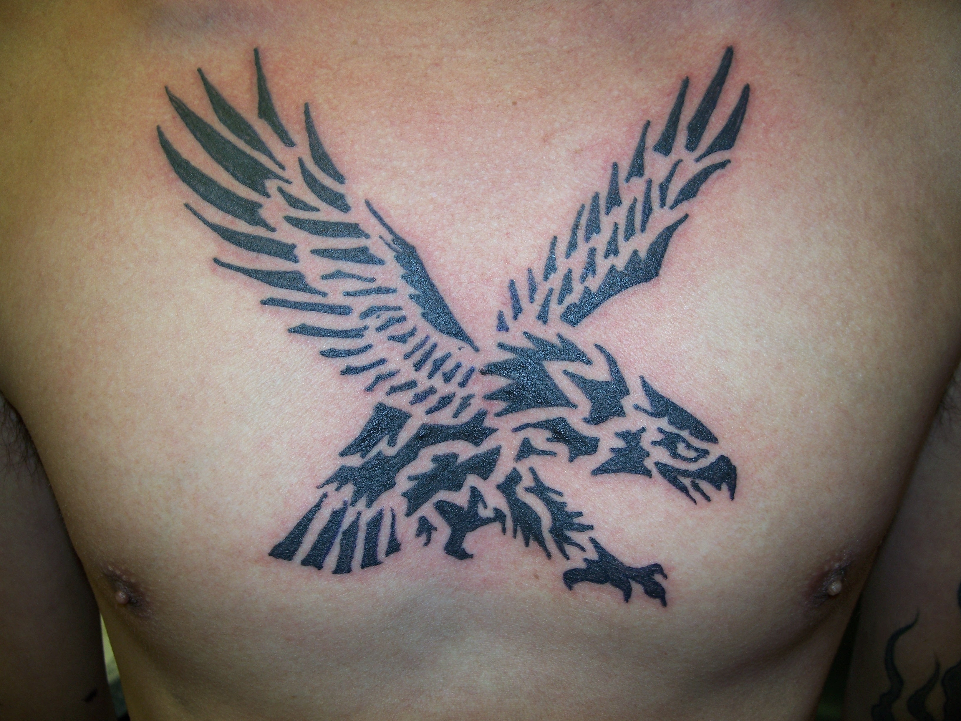 http://upload.wikimedia.org/wikipedia/commons/0/06/Tribal_eagle_tattoo_by_Keith_Killingsworth.JPG