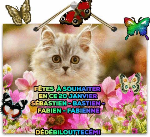 Gifs Animes Fete Du Jour Janvier