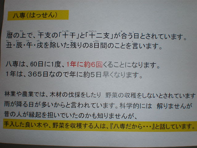 若狭木材市場 お姉さんの独り言 八専 ハッセン の話