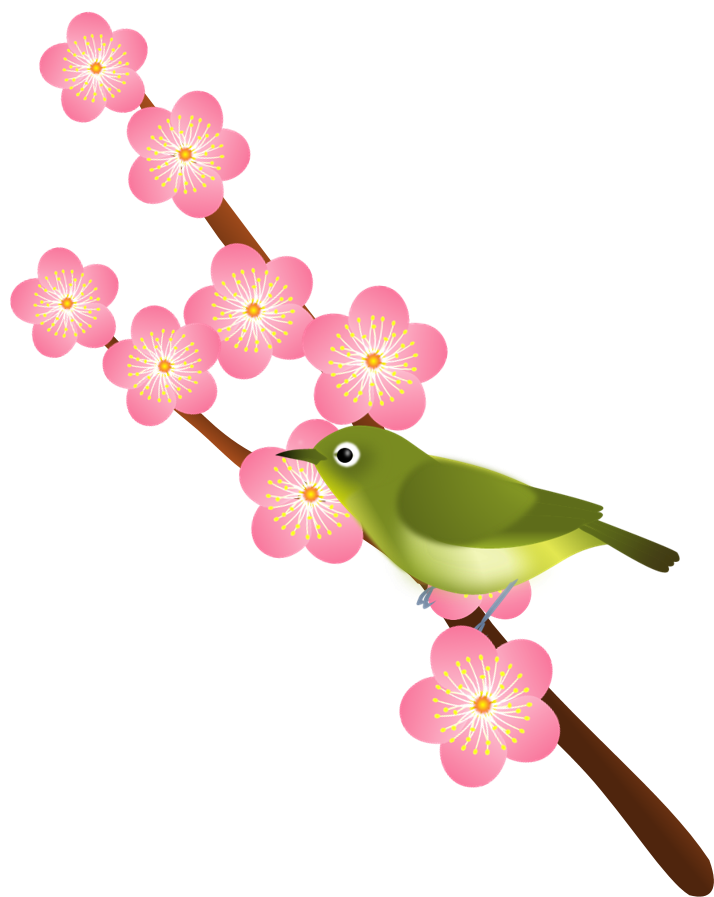メジロと薄いピンク色の梅の花のイラスト 無料イラスト素材 ちいさないきもの