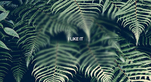 Nice! CSS 让指定区域背景图像高斯模糊 设计达人