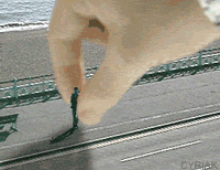 funny animated gif