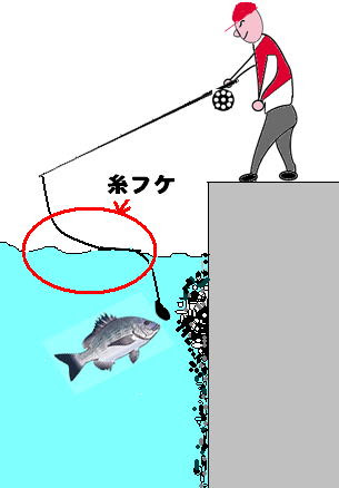 チヌ クロダイ の落とし込み釣り