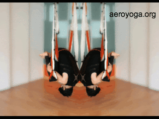 Created by Rafael Martinez wwwaerialyoga.tv AerialYoga© Poses, the Aerial Plank© on the Swing, with Rafael Martinez. Feel the body working with the help of the gravity free swing and get anti stress and relaxing results: Good for body and soul. Good for teachers and students CONTACT: aeroyoga@aeroyoga.es Inglés: www.aerialyoga.tv  Call today for more info about our international teachers training: 00 (+34) 91 457 22 15   AERIAL GODDESS POSE  IS PART OF THE  AEROYOGA® INTERNATIONAL TEACHERS TRAINING PROTOCOL-FROM THE AERO  INSTITUTE MADRID.