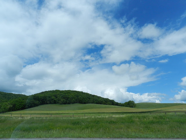 EskywDSCN0538