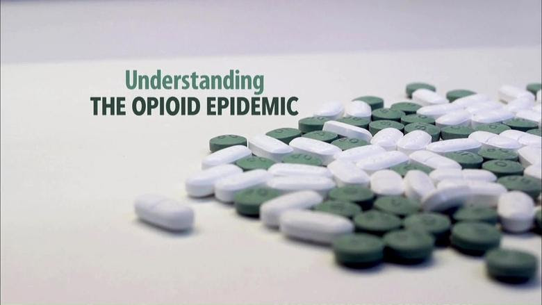 Understanding the Opioid Epidemic download vf 2018
