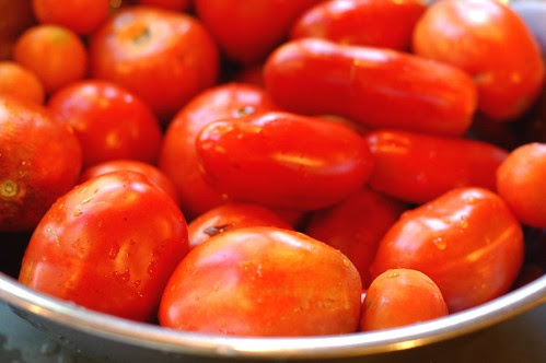 Tomatoes by Eve Fox, Garden of Eating blog, copyright 2011