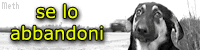 No all'abbandono