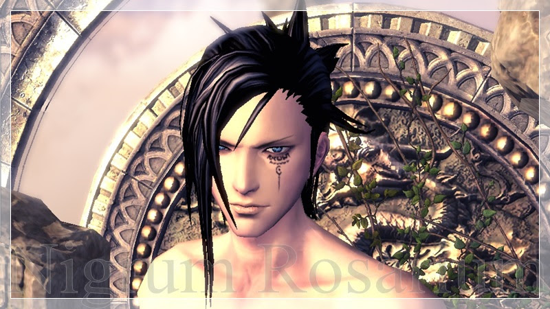 ブレイドアンドソウルのキャラメイク テスト