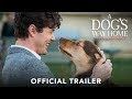 ตัวอย่างหนัง A Dog's Way Home