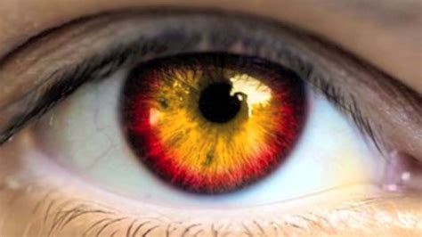 Who knew that kia&aposs catchy little hamste. Get Golden Red Eyes Fast! Subliminals Frequencies Hypnosis