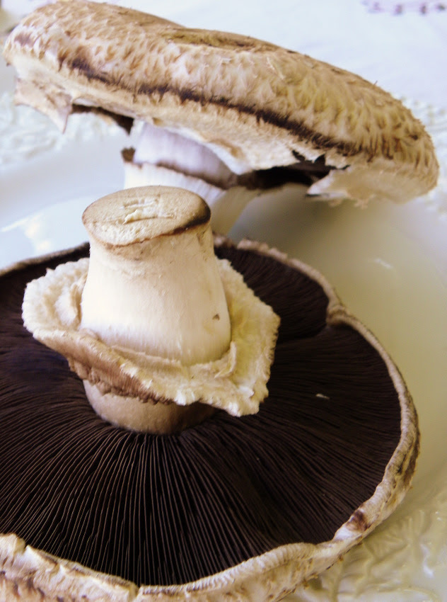 Portobello Mushrooms