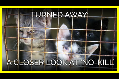 animal shelters in huntington wv