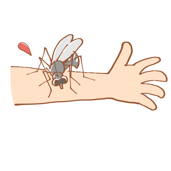 血を吸っている蚊のイラスト かわいいフリー素材が無料のイラストレイン