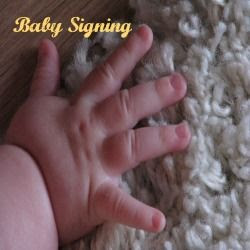 photo BabySigning_zps240b48a1.jpg