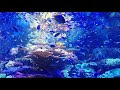 25 ++ 水中 アクアリウム 757438-アクアリウム 水中 ライ���