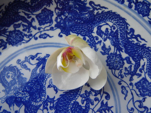 Blue and white by Anna Amnell