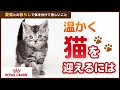 【ベストコレクション】 猫 室内 飼い 一 部屋 341588