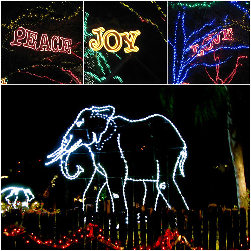 Zoo Lights