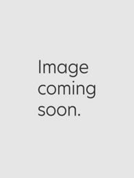 Non-Iron 2-Ply 100% Cotton Pinpoint Textured Pattern Spread Collar Dress Shirt