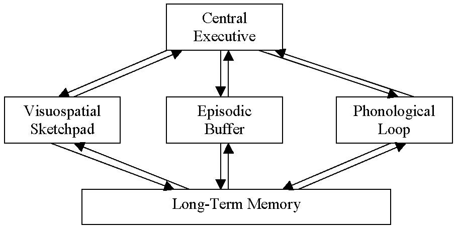 According To Baddeley And Hitch