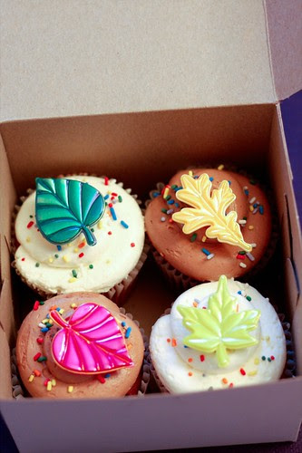 110309cupcakes.jpg