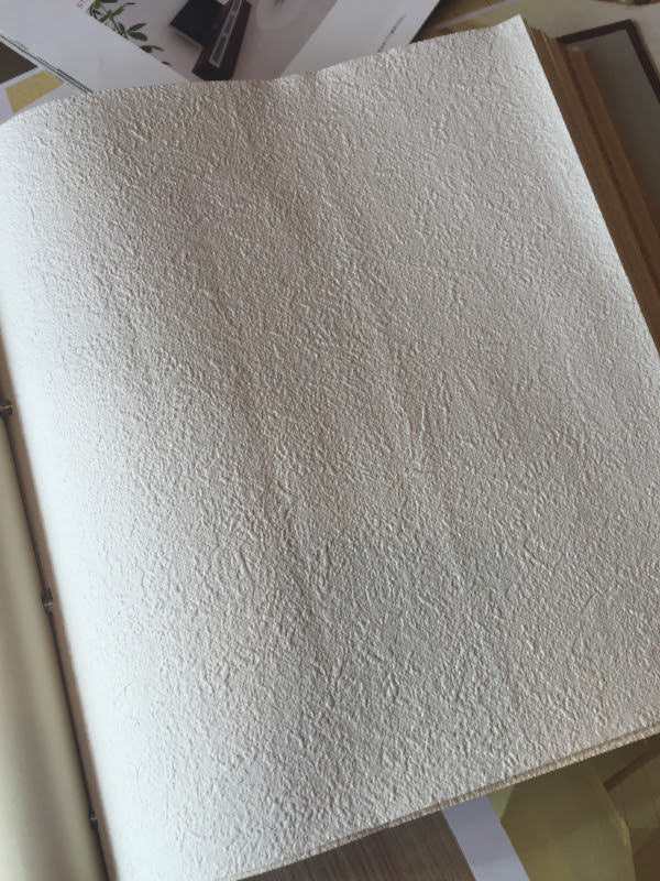 セキスイハイムのあったかホーム 間取り 内装 ドア 壁