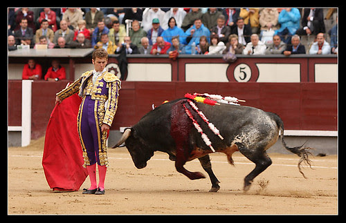 El Payo 3
