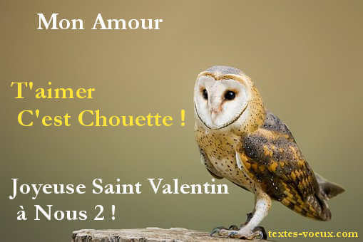 Texte Pour La Saint Valentin Message De La St Valentin Sms D Amour Original