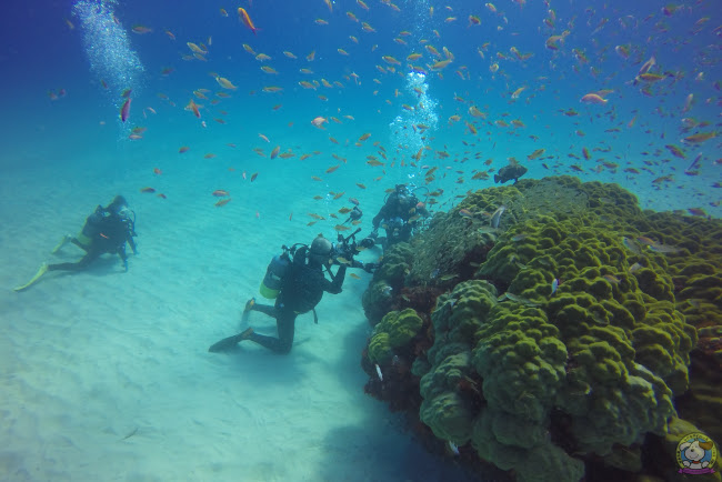 GOPR0147.jpg