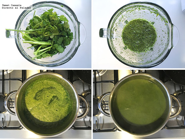 Sopa Cilantro Y Poblano 2