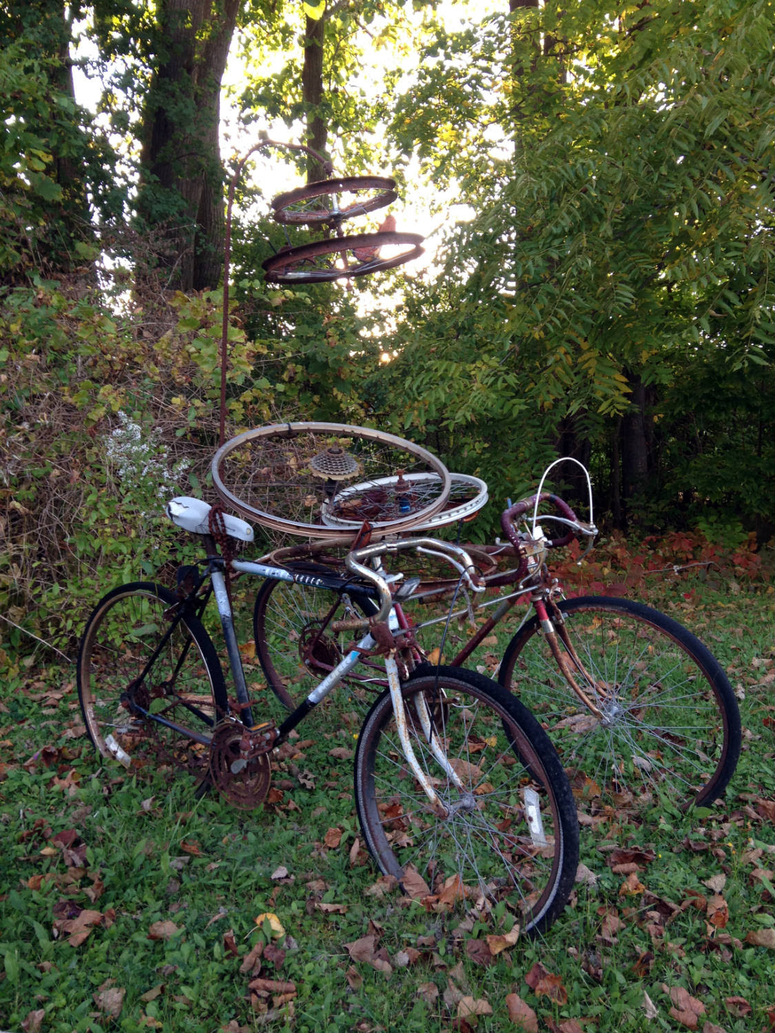 Bicycle Art and Yard Sculptures - Palmyra, NY Bikes