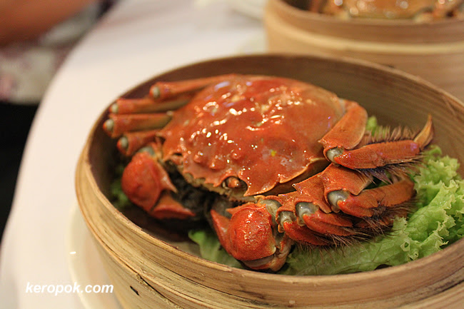 Hi Hairy Crab! You sure are hairy!