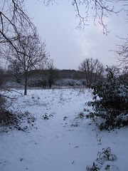 Earlswood Snow