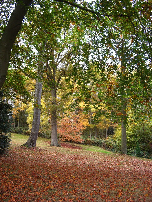 Autumn Colours