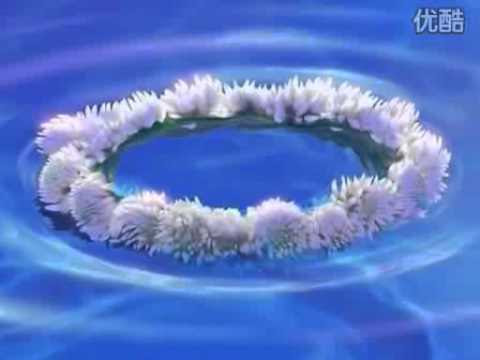 心湖-水晶音乐.mp4