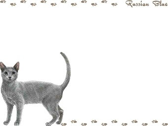 スマホ用ページ ロシアン ブルーのポストカード用イラスト 条件付フリー素材集