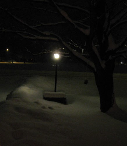 Driveway Light