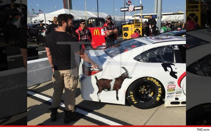 0424-SUB-dan-bilzerian-nascar-TMZ-01