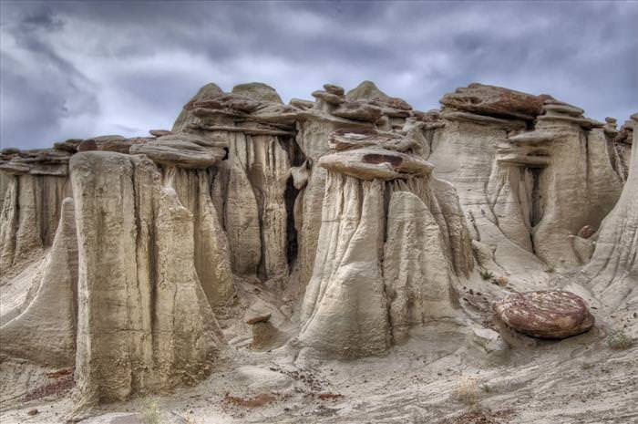 Chihuahuan Desert