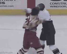 Hockey Knock Out Gif