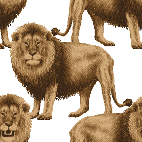 りあるたっちライオン No 345 リアルらいおんの壁紙用イラスト 条件付フリー素材集 スマホなど携帯電話対応