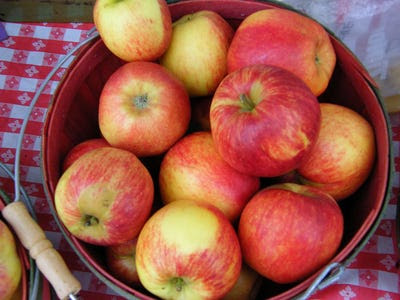 organic apple