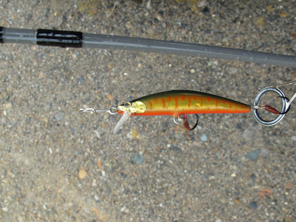 イトウのメーターオーバーを釣った朝の話